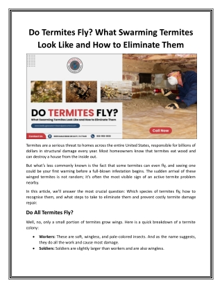 What Do Termites Look Like & Prevention Treatment Tips