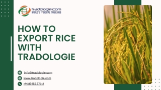 How to Export Rice with Tradologie: Seamless Global Trade for Indian Exporters
