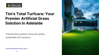 Artificial lawn Adelaide