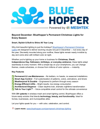 Beyond December_ BlueHopper’s Permanent Christmas Lights for Every Season