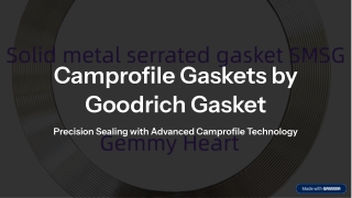 Goodrich Camprofile Gasket: High-Performance Sealing for Demanding Applications