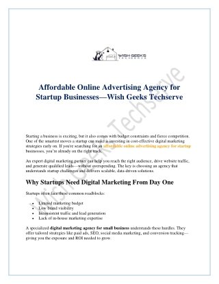 Affordable Online Advertising Agency for Startup Businesses—Wish Geeks Techserve