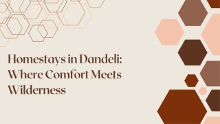 Homestays in Dandeli Where Comfort Meets Wilderness