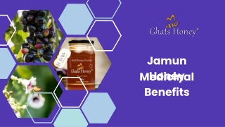 Wild Jamun Honey - Wild Honey Hunters