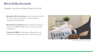 Micro_Entity_Accounts