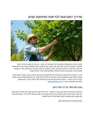 Seasonal Tree Care Tips What to Do in Spring, Summer, Fall, and Winter