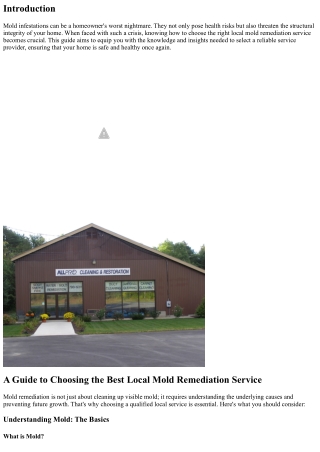 “A Guide to Choosing the Best Local Mold Remediation Service”
