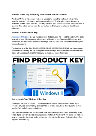 Windows 11 Pro Key (1)