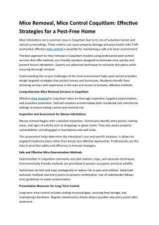 Mice Removal, Mice Control Coquitlam: Effective Strategies for a Pest-Free Home