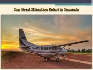 Top Great Migration Safari in Tanzania
