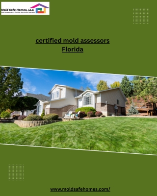 Certified Mold Assessors Florida – Professional Mold Testing & Inspection