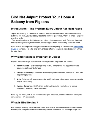 Bird Net Jaipur_ Protect Your Home & Balcony from Pigeons