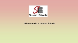 Persianas Automáticas