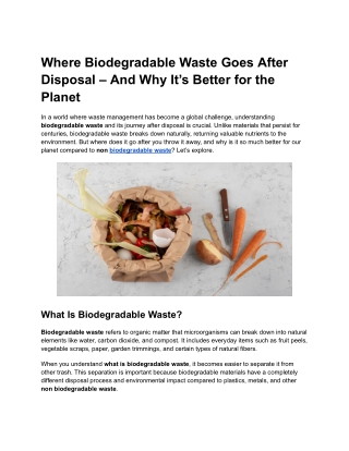 Where Biodegradable Waste Goes After Disposal – And Why It’s Better for the Planet