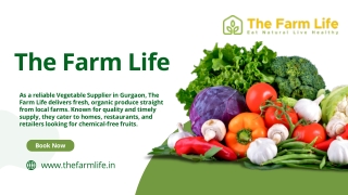 Reliable Fresh Fruits and Vegetable Supplier in Gurgaon