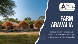 Romantic 1 Day Outing Near Delhi For Couples