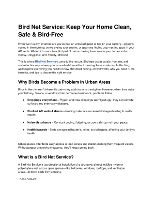 Bird Net Service_ Protect Your Home & Peace from Unwanted Birds