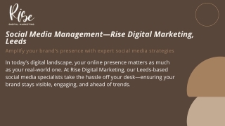 Social Media Management Company in Leeds  Rise Digital (1)