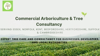 Commercial arboriculture  Commercial Tree consultant Essex, Kent, Thaxted