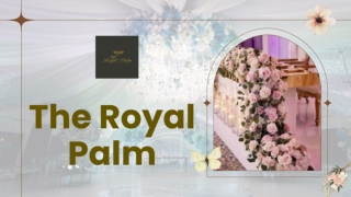 _The Royal Palm