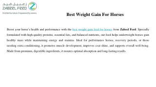 Best Weight Gain For Horses