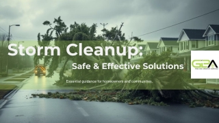 Trees Down After a Storm Discover the Safest Cleanup Solutions