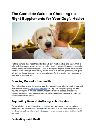 The Complete Guide to Choosing the Right Supplements for Your Dog’s Health