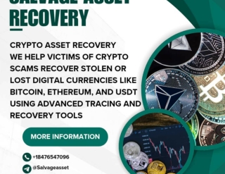 HOW TO HIRE A RECOMMENDABLE CRYPTO RECOVERY COMPANY- VISIT SALVAGE ASSET RECOVER