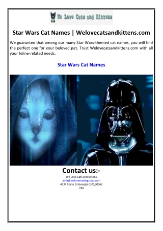 Star Wars Cat Names | Welovecatsandkittens.com