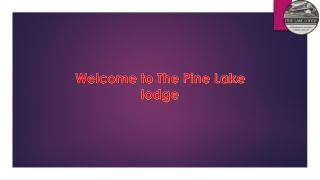 Pet-Friendly Airbnb in the Adirondacks