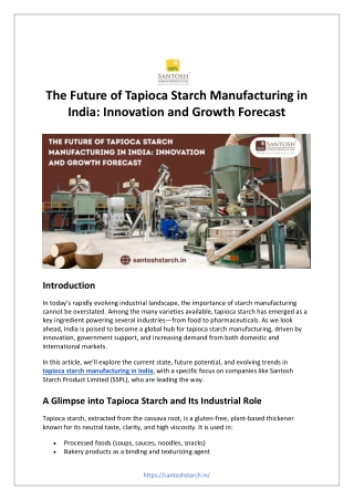 The Future of Tapioca Starch Manufacturing in India Innovation and Growth Forecast