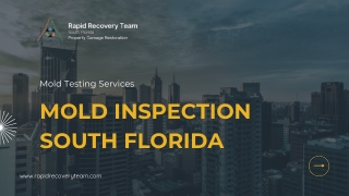 Mold Inspection South Florida