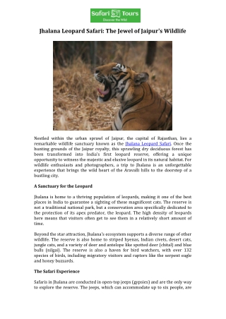 Jhalana Leopard Safari The Jewel of Jaipur's Wildlife