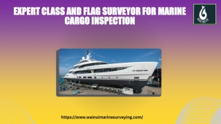 Expert Class and Flag Surveyor for Marine Cargo Inspection