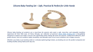 Silicone Baby Feeding Set – Safe, Practical