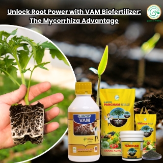 VAM Biofertilizer – The Natural Solution for Healthy Root Growth