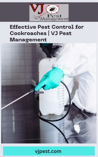 Effective Pest Control for Cockroaches  VJ Pest Management