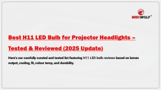 Best H11 LED Bulb for Projector Headlights – Tested & Reviewed (2025 Update)