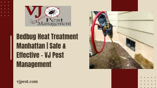 Bedbug Heat Treatment Manhattan  Safe & Effective – VJ Pest Management