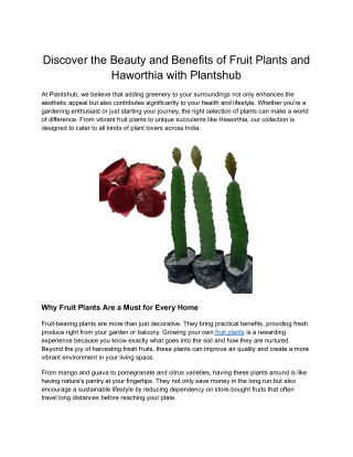 Pine Tree Online Shopping | Evergreen Elegance