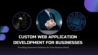custom web development services