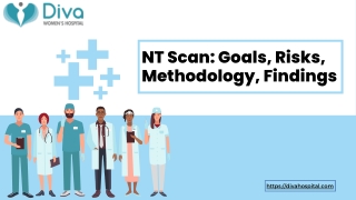 NT Scan Goals, Risks, Methodology, Findings