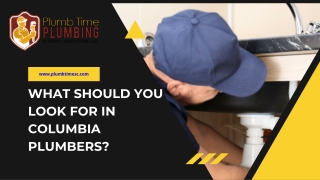 What Should You Look for in Columbia Plumbers