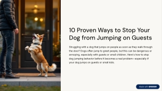 10-Proven-Ways-to-Stop-Your-Dog-from-Jumping-on-Guests