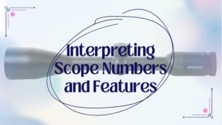 A Clear View_ Interpreting Scope Numbers and Features