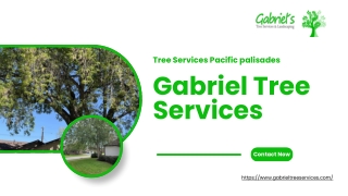 Tree Services Pacific palisades - Gabriel Tree Services