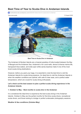 Explore The Best Time to Scuba Dive in Andaman