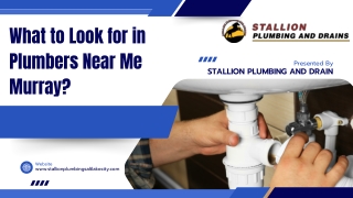 What to Look for in Plumbers Near Me Murray