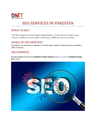 SEO SERVICES IN PAKISTAN