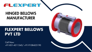 Seamless Expansion Solutions with Hinged Bellows Excellence